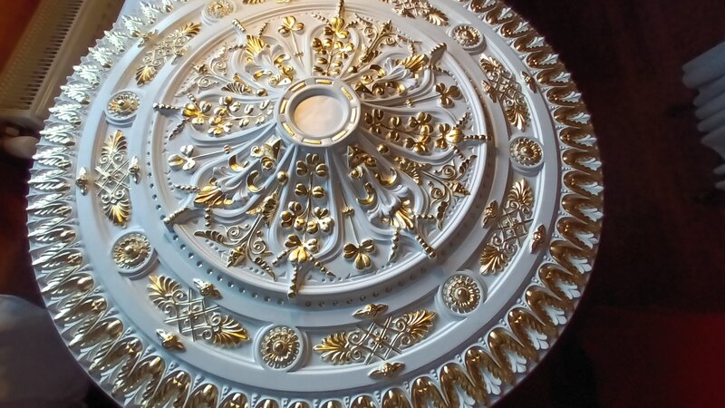 Foita Aurie. profile decorative.